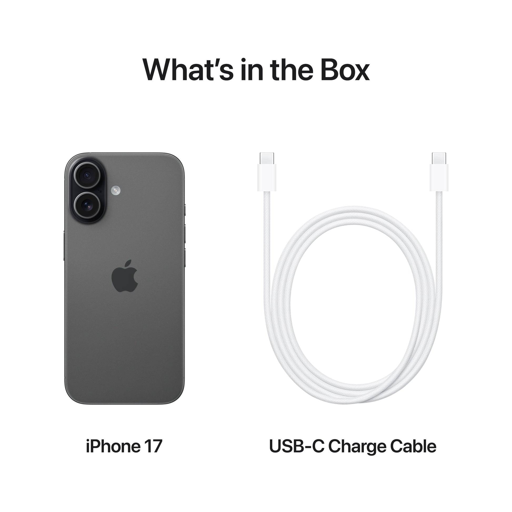 iPhone_17_Black_PDP_Image_Position_8__en-IN