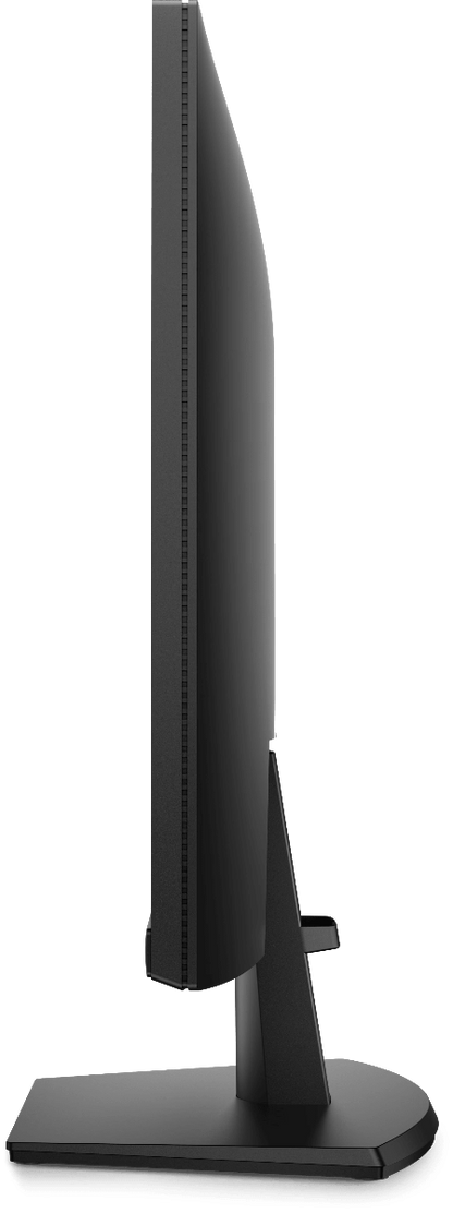 Dell 24 Monitor