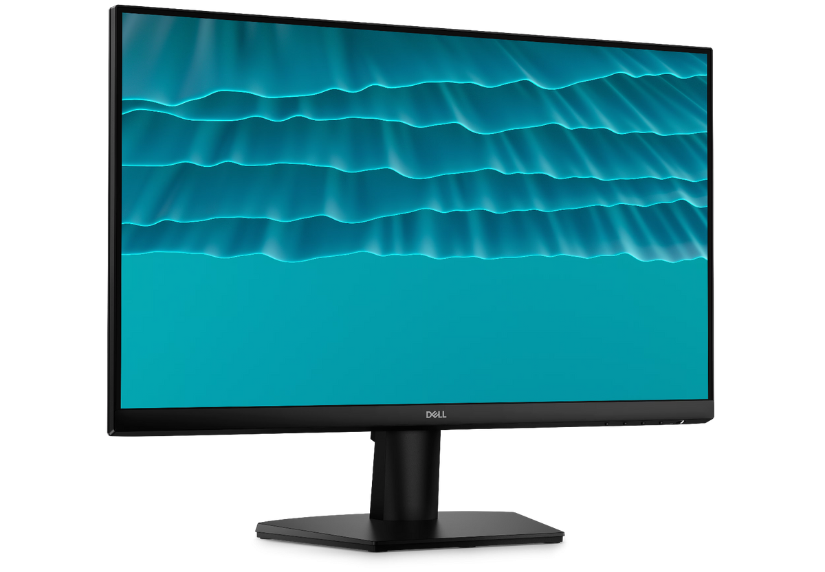 Dell 24 Monitor